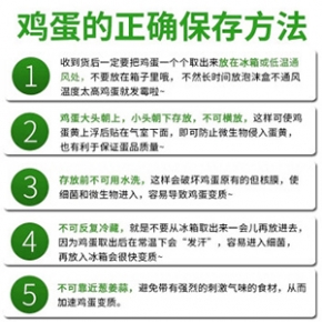 嘉州园 大别山农家散养新鲜土鸡蛋生鲜 笨鸡蛋 土鸡初生蛋 柴鸡蛋 新鲜鸡蛋现捡 10枚鸡蛋尝鲜装 10枚