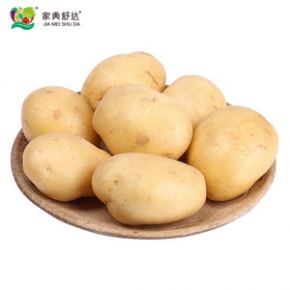 家美舒达 山东小土豆 约2.5kg 新鲜蔬菜