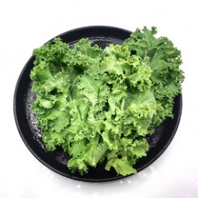 羽衣甘蓝 500g 新鲜蔬菜 沙拉菜 叶杜丹绿叶花包菜Kale 日天 生鲜 生鲜 玉芝拼购